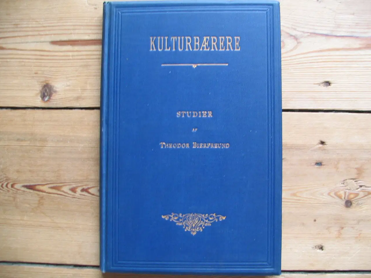 Billede 1 - Theodor Bierfreund (1855-1906). Kulturbærere, 1892