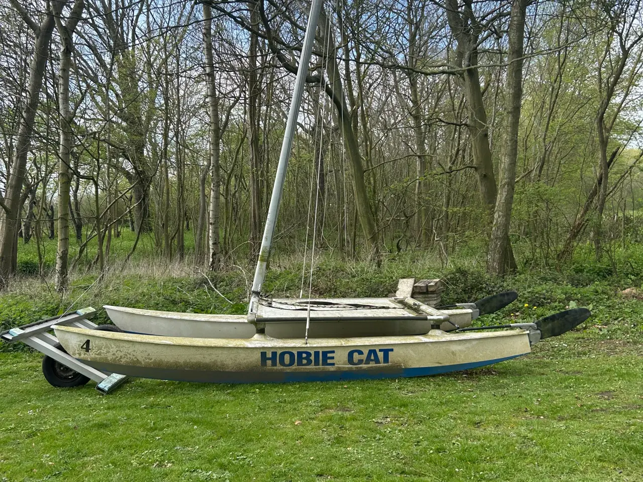 Billede 1 - Hobie Cat