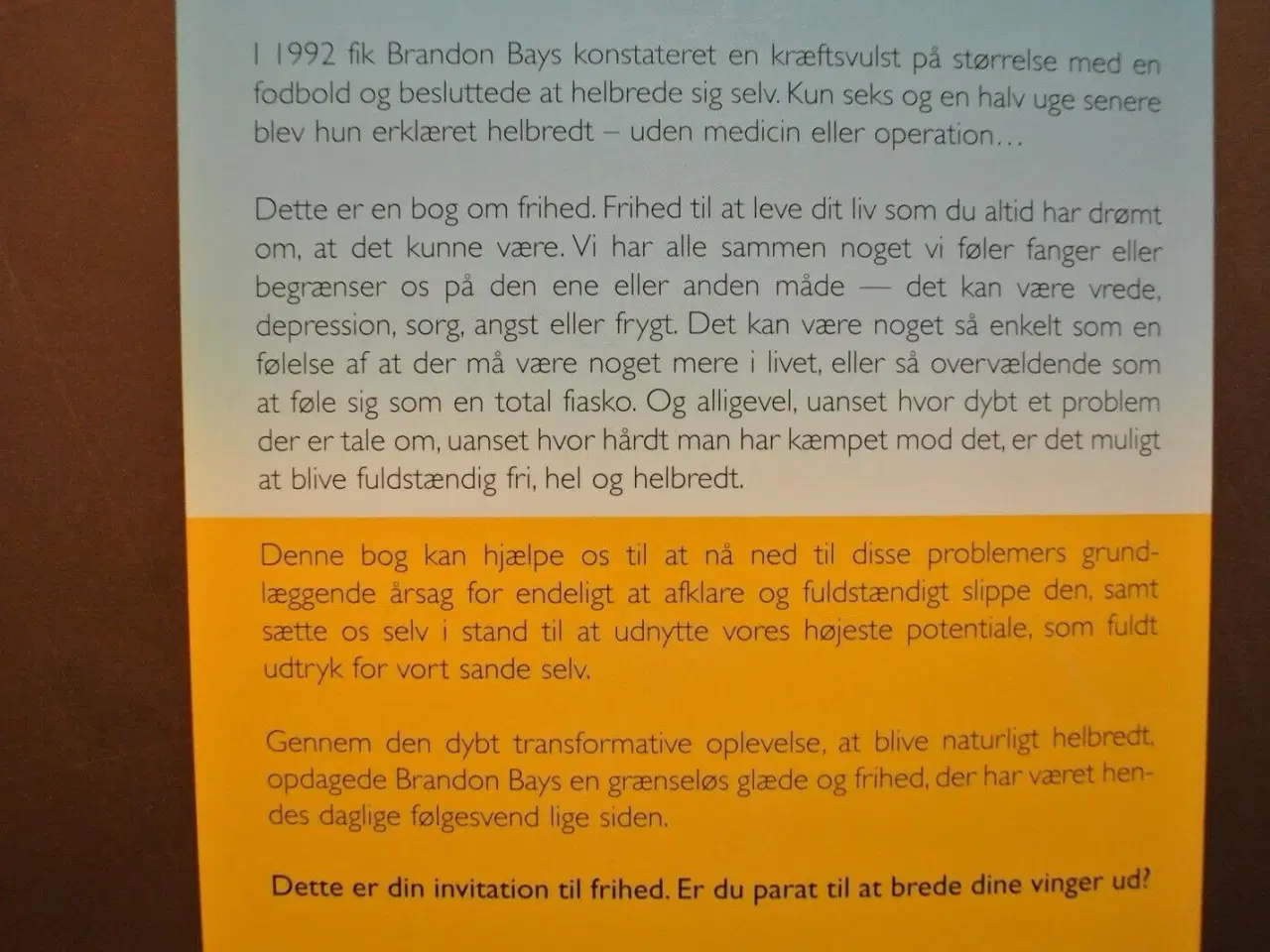 Billede 2 - rejsen - en usædvanlig vejledning, af brandon bays
