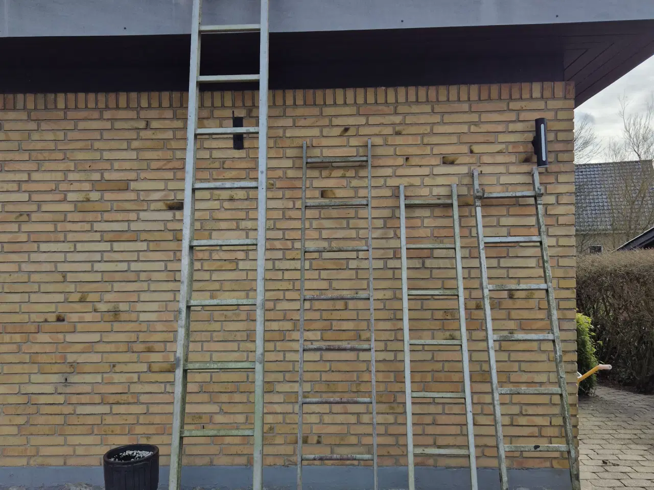 Billede 1 - 4 Alustiger,