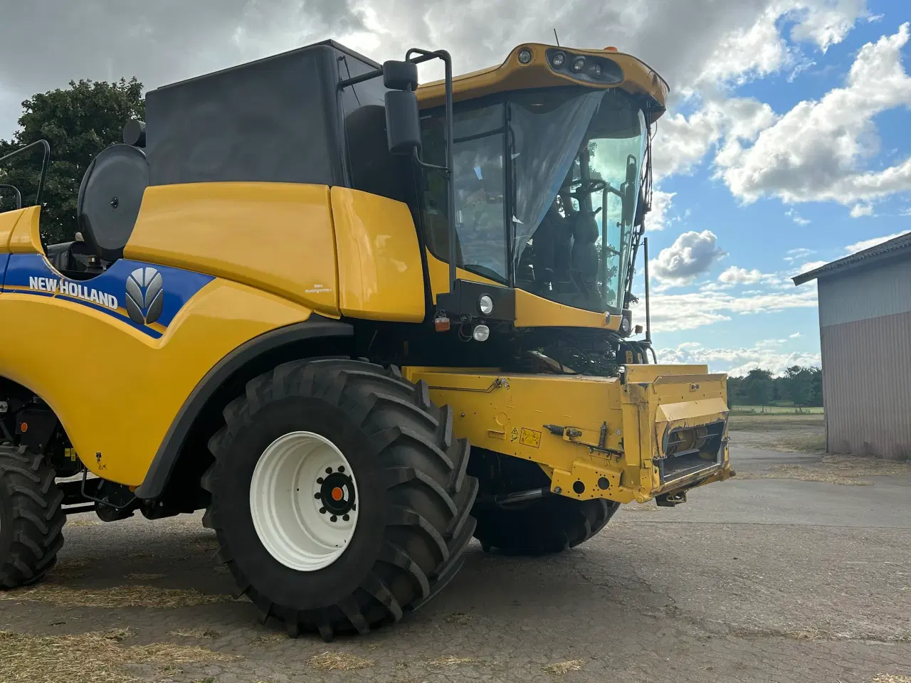 Billede 6 - Majetærsker 