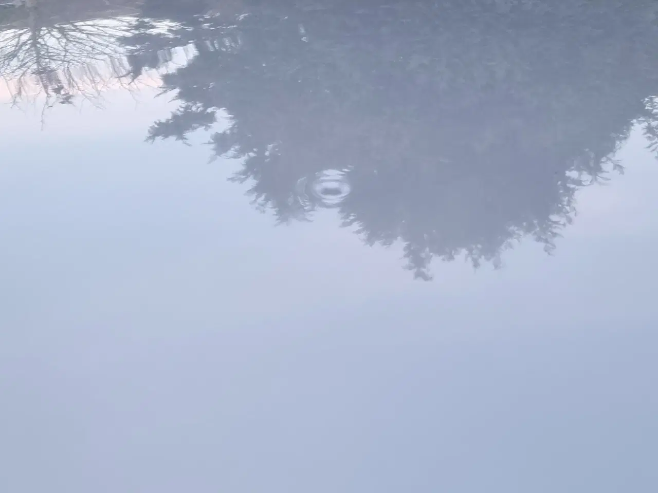 Billede 14 - Vw UP! 5-døre med meget lavt km-tal kun 66.000km!