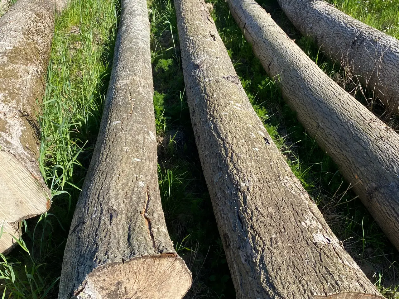 Billede 3 - Planketømmer - asketræ