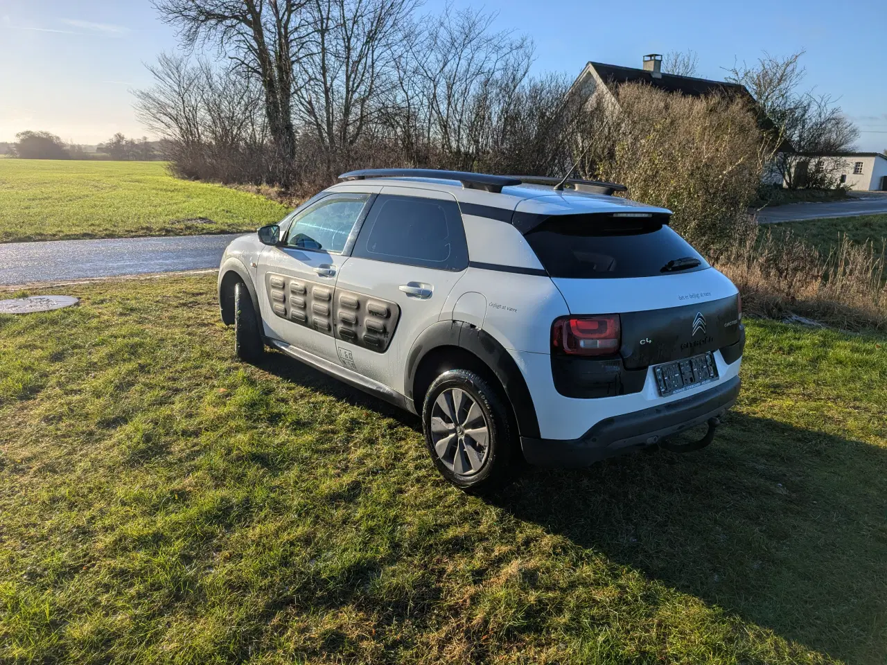 Billede 4 - Citroën Cactus Van