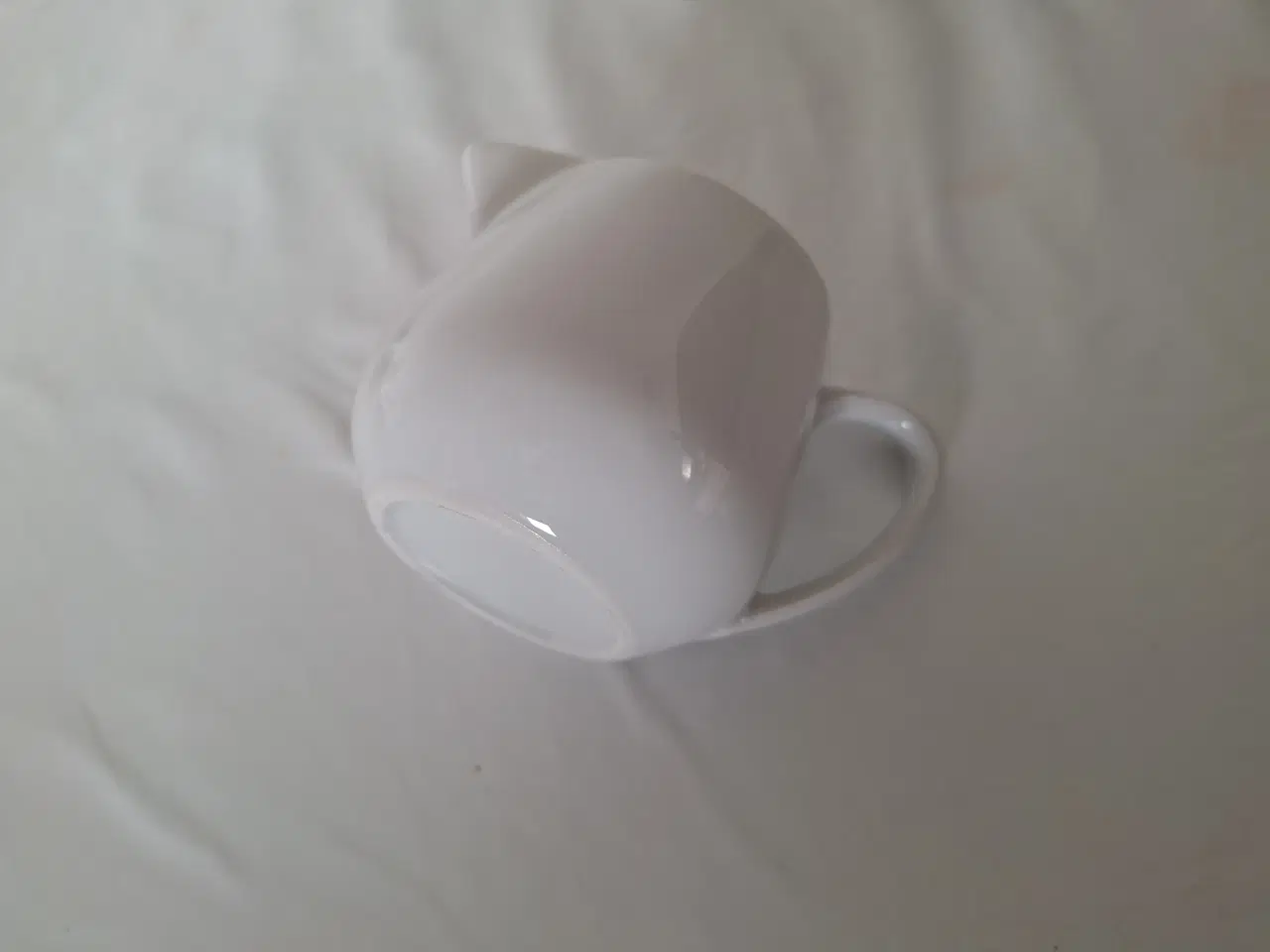 Billede 2 - Mælkekande