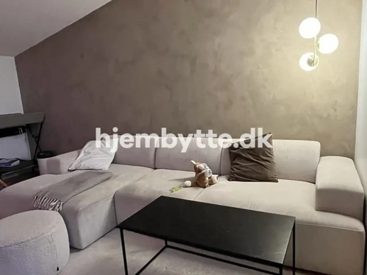 Billede 3 - Hjembytte - Hyldemosen