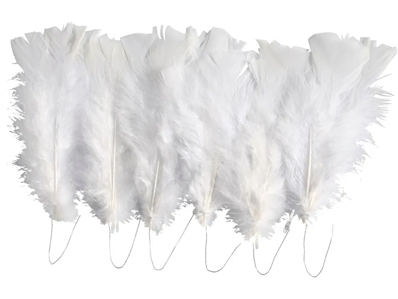 Billede 1 - Dun, L: 11-17 cm, hvid, 18bdt./ 1 pk.