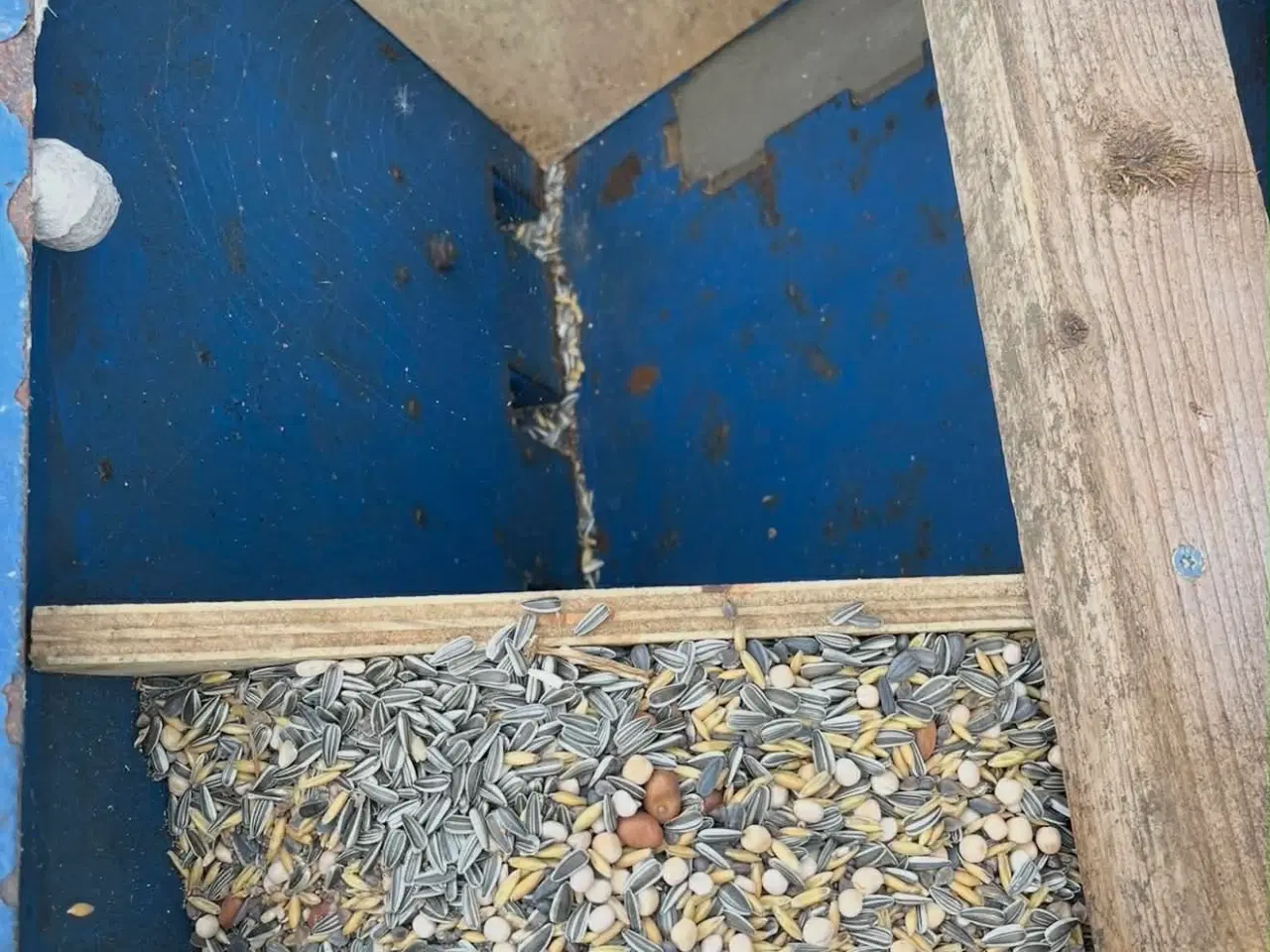 Billede 2 - Fiona såmaskine 