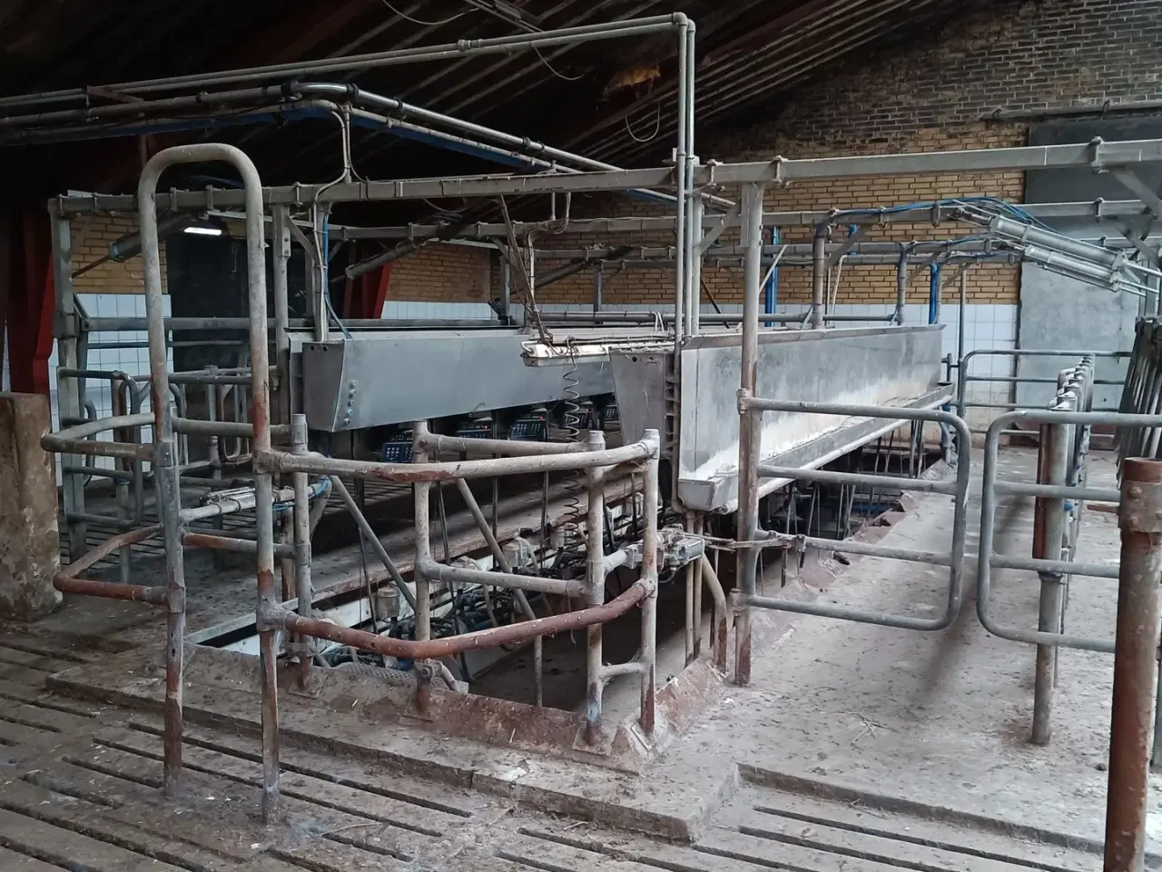 Billede 3 - - - - Malkestalden til 20 stk. med mælkemåler