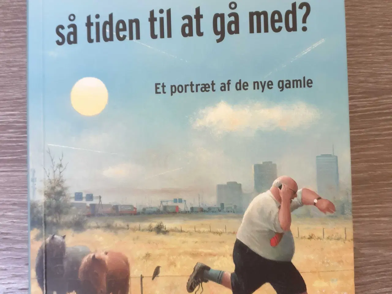 Billede 1 - De nye gamle