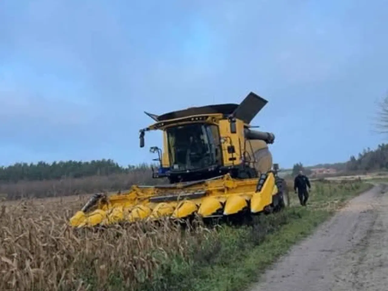 Billede 1 - New Holland F8 plukkebord til majs - årgang 2024