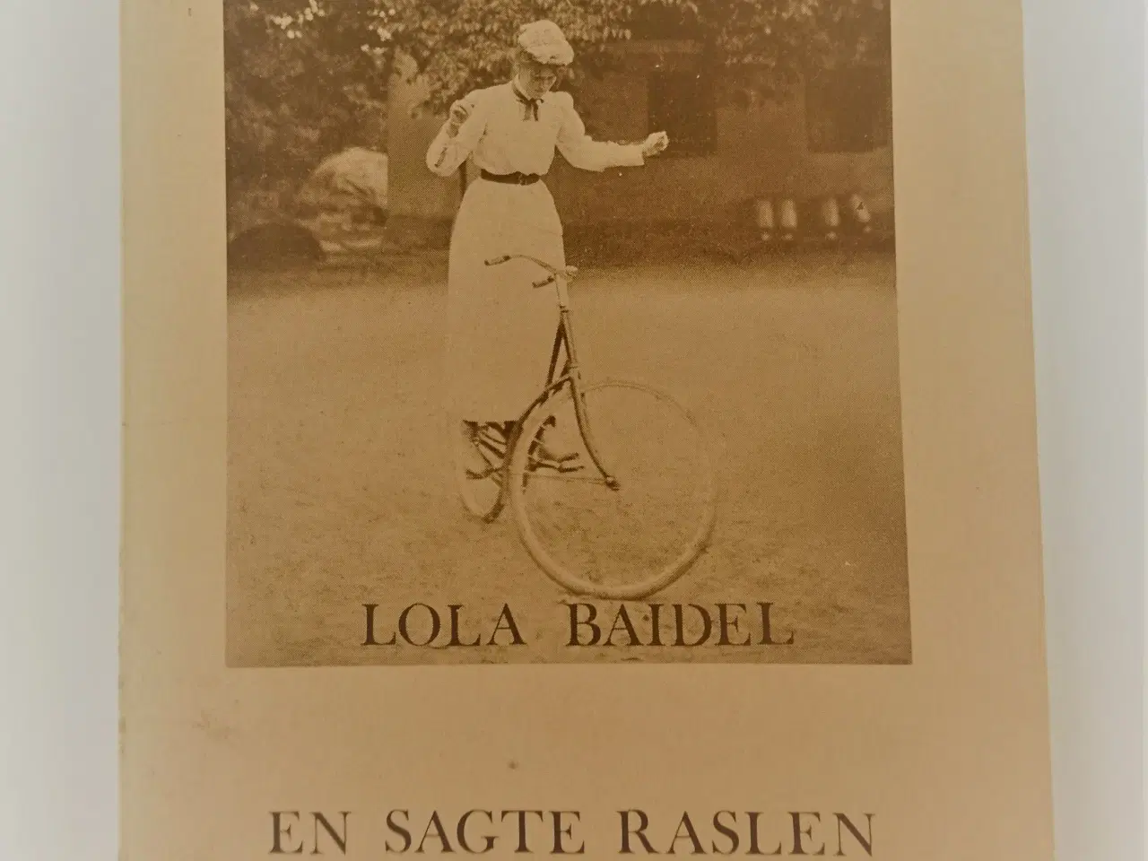 Billede 1 - En sagte raslen Af Lola Baidel