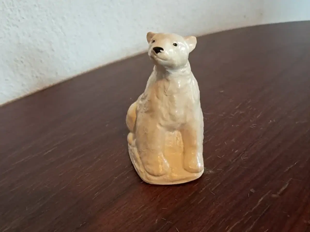 Billede 1 - Isbjørn