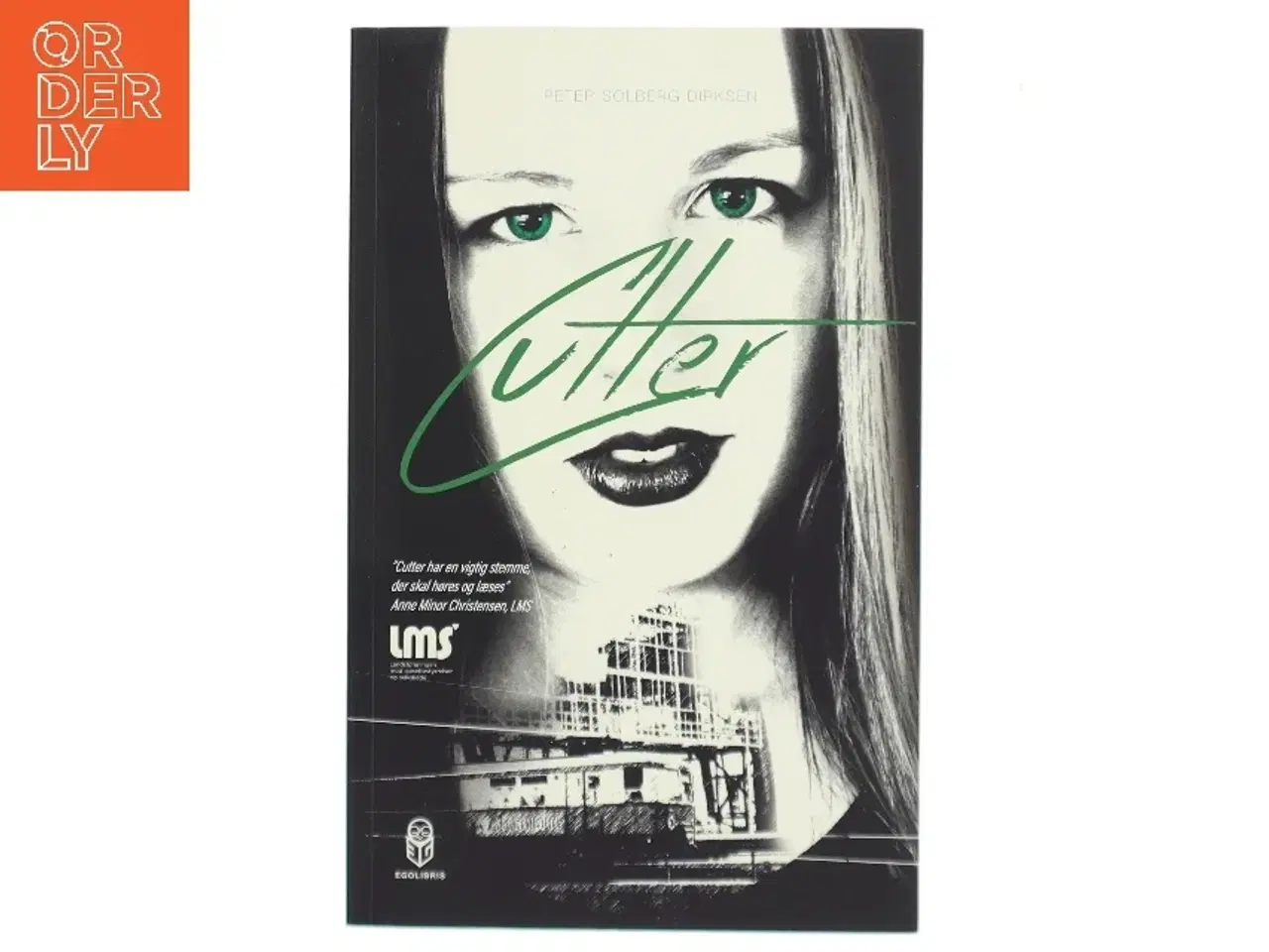Billede 1 - Cutter : en ungdomsroman for unge og voksne baseret på virkelige hændelser af Peter Solberg Dirksen (Bog)