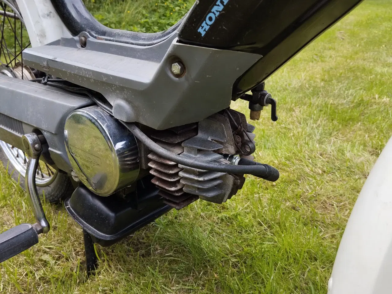 Billede 9 - Knallert - Honda DX Camino Pa50
