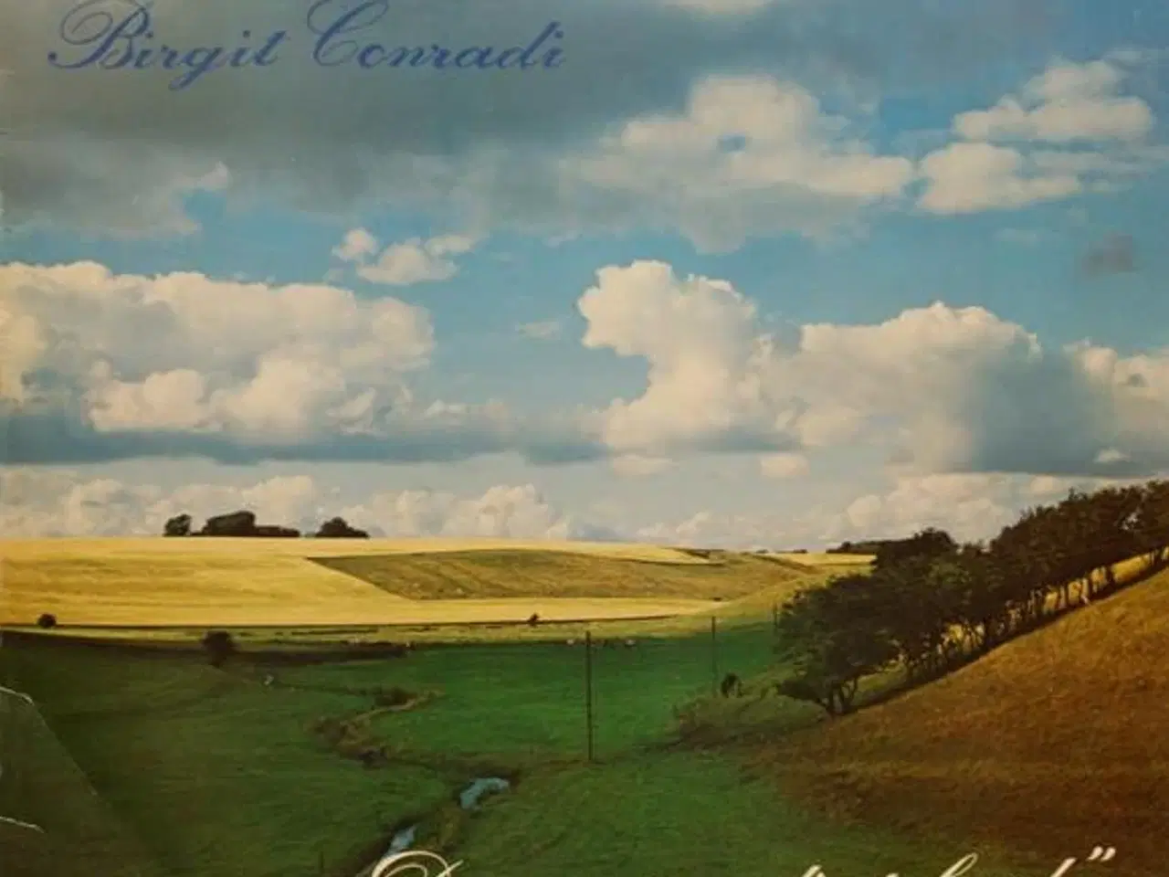 Billede 1 - Birgit Conradi: Der er et yndigt land - Vinyl LP