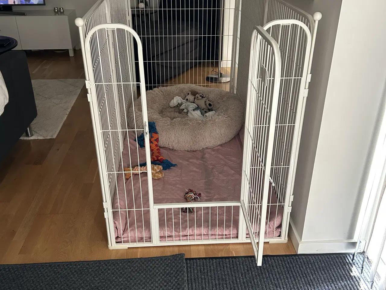 Billede 6 - Hvalpe/hundegård