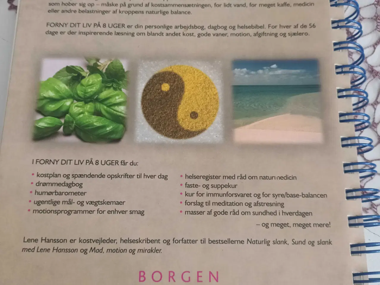 Billede 2 - Forny dit liv på 8 uger 