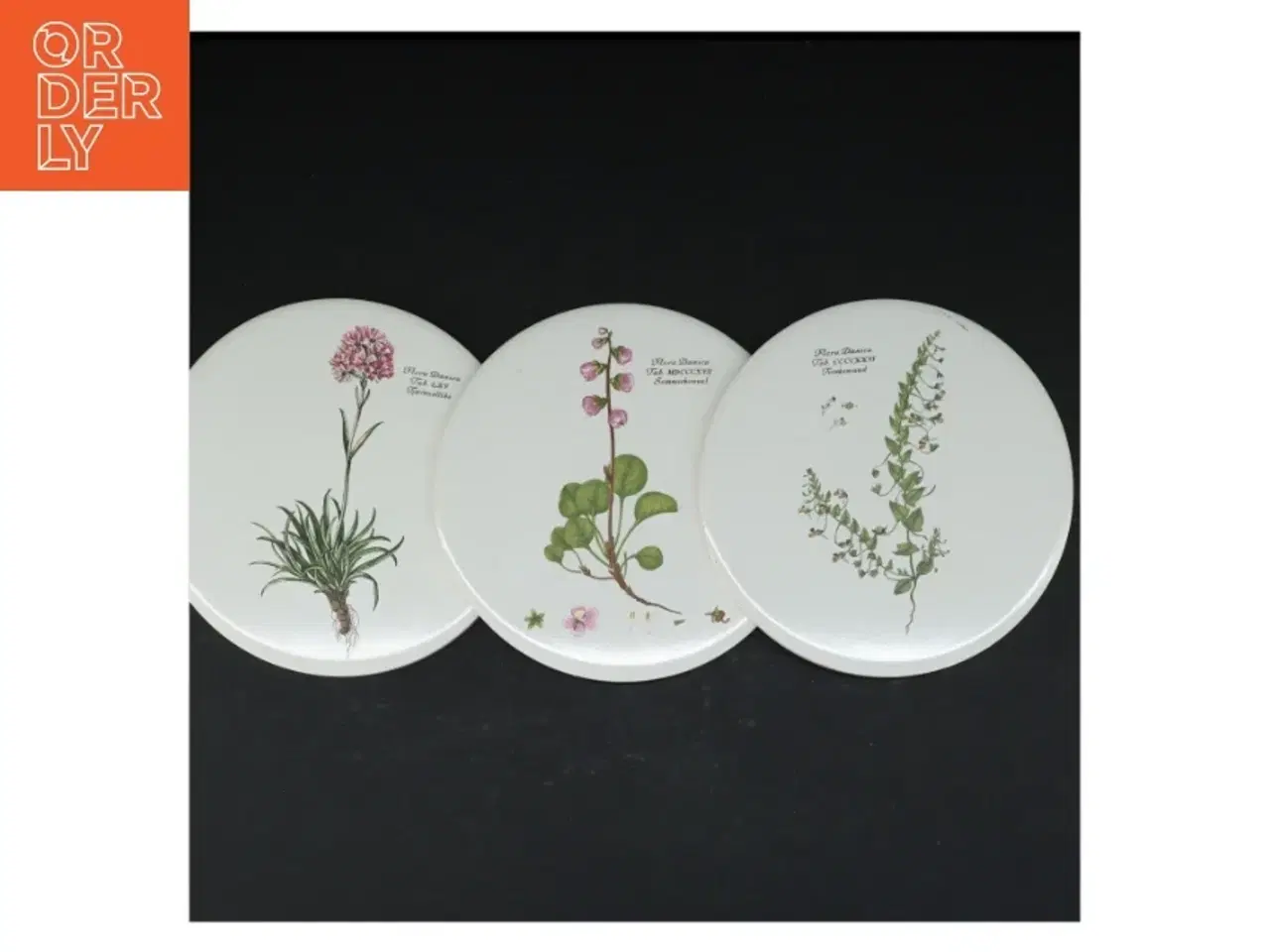 Billede 1 - Dekorative porcelænstallerkener med botaniske motiver (str. 3 styk. ø. 15,5 cm)