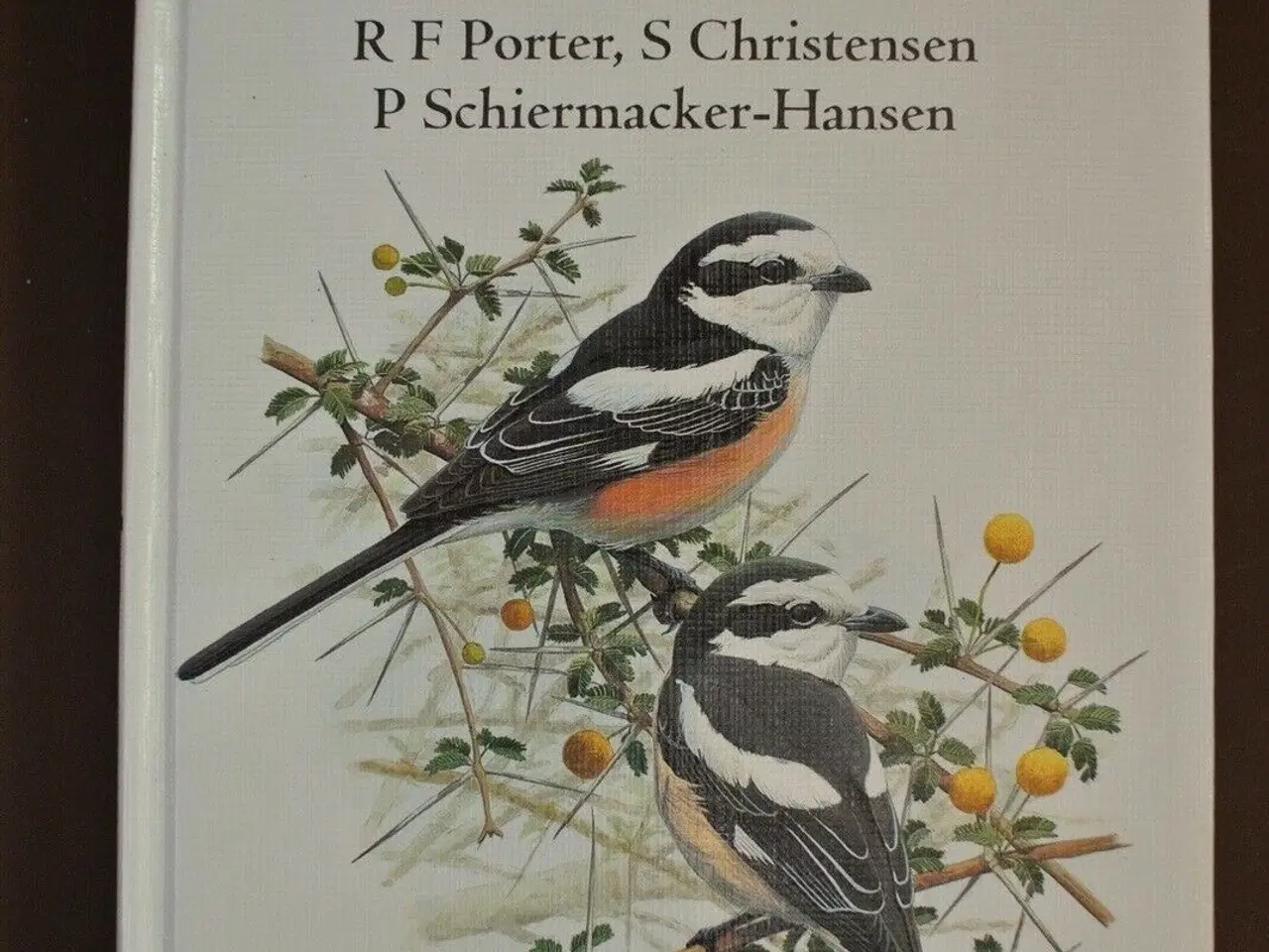 Billede 1 - field guide to the birds of the middle east, by r 