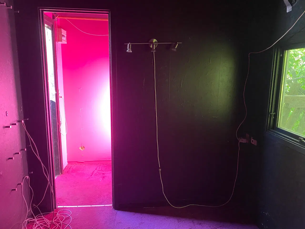 Billede 14 - Ældre skurvogn gives væk mod afhentning 