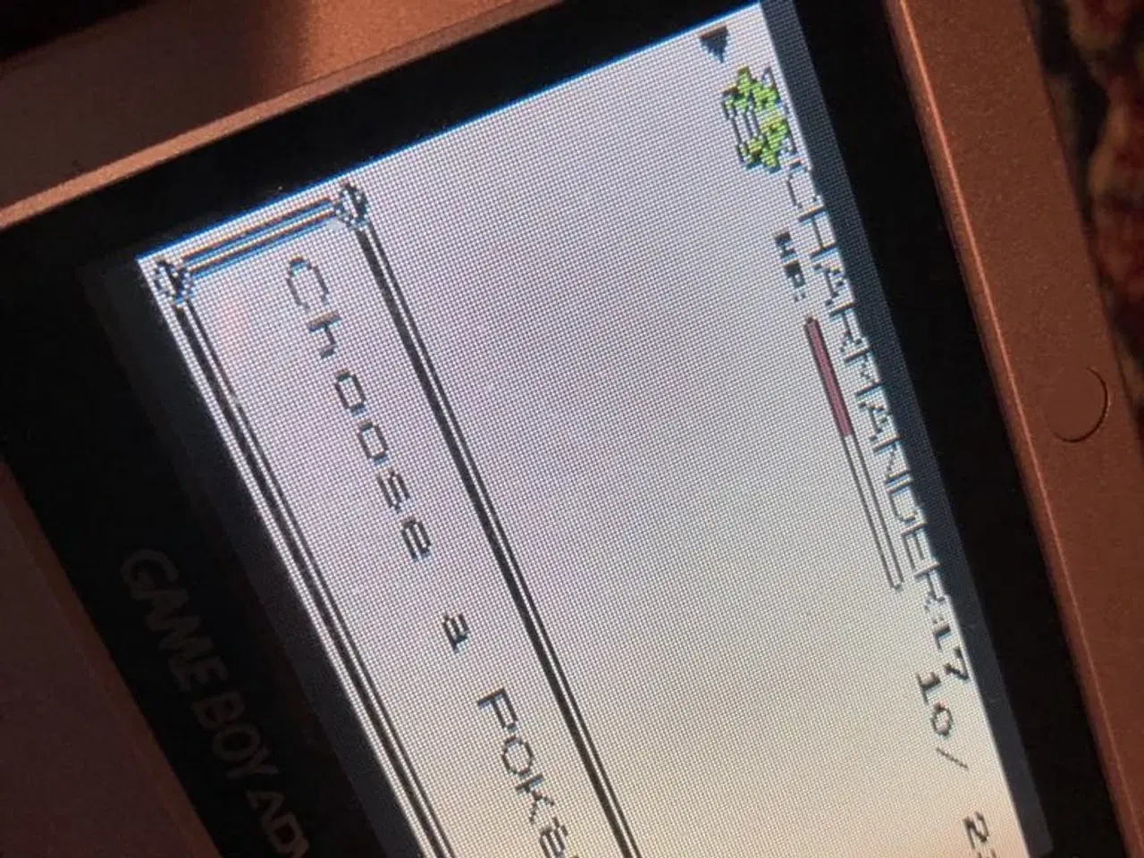 Billede 2 - Pokemon Yellow, Red, Silver, Gold , Gameboy Spil