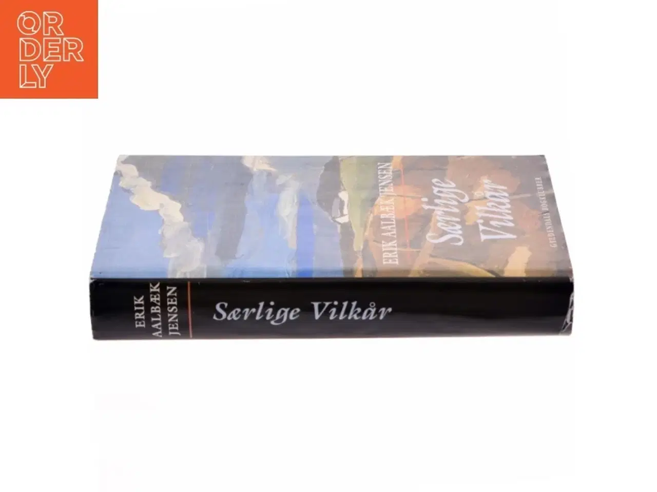 Billede 2 - Særlige vilkår : roman af Erik Aalbæk Jensen (Bog)
