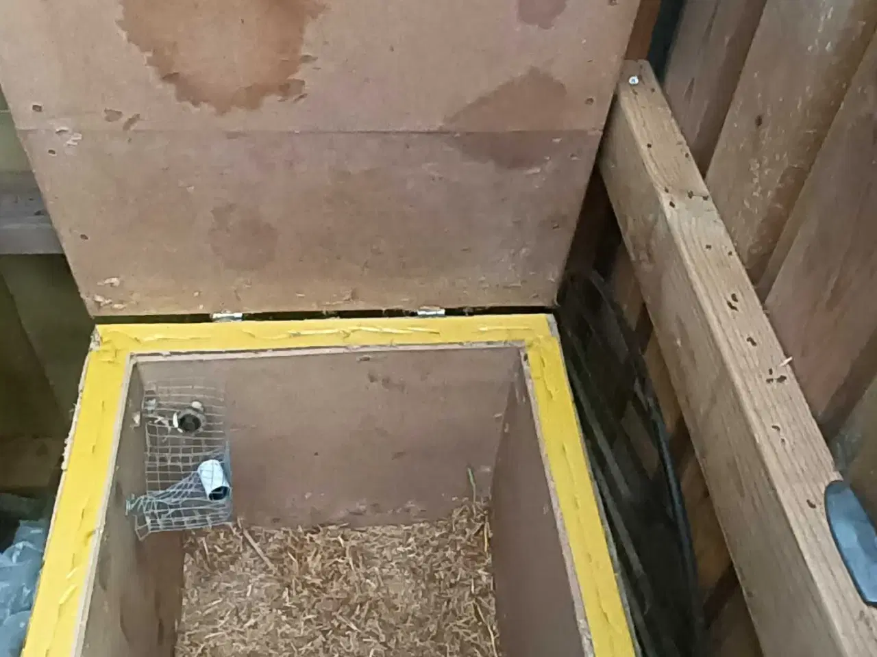 Billede 3 - Vagtelhus isoleret