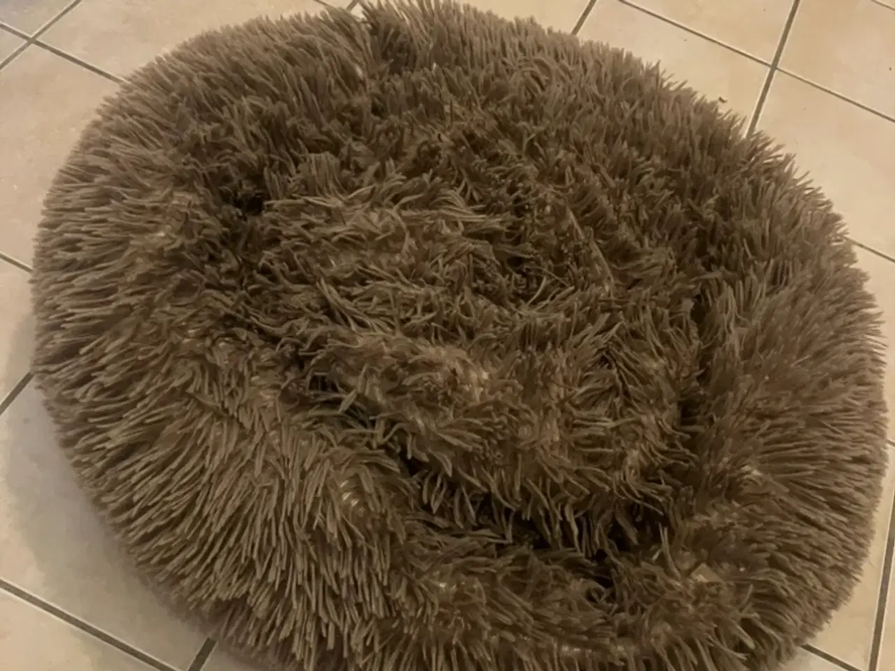 Billede 1 - Donut til hund eller kat