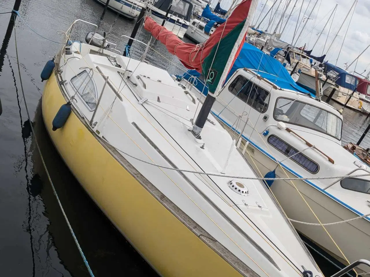 Billede 1 - Solus 24