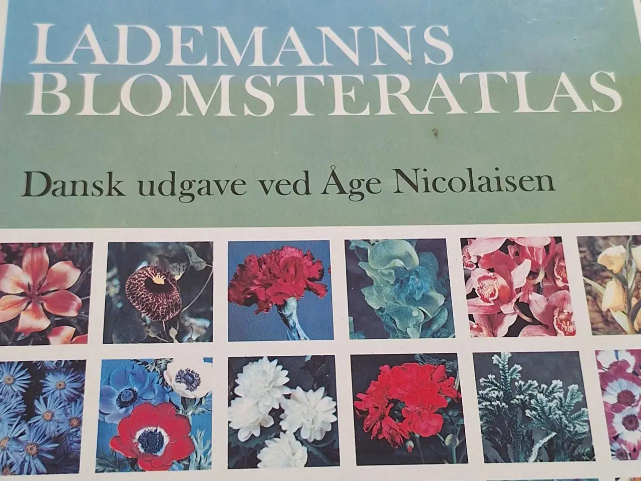 Billede 2 - Lademanns Blomsteratlas 