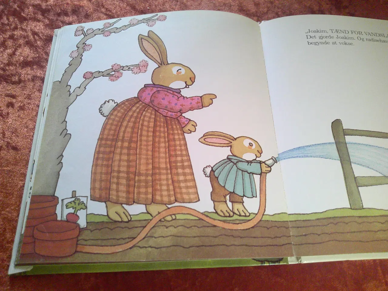 Billede 3 - For mange kaniner, Tomie De Paola