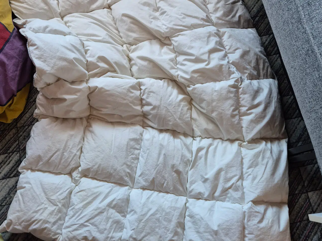 Billede 1 - Juniordyne i dun