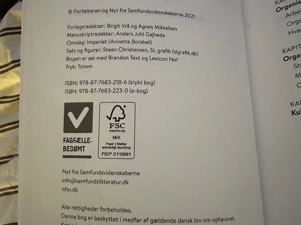 Billede 2 - Strategier til at analysere organisationskultur