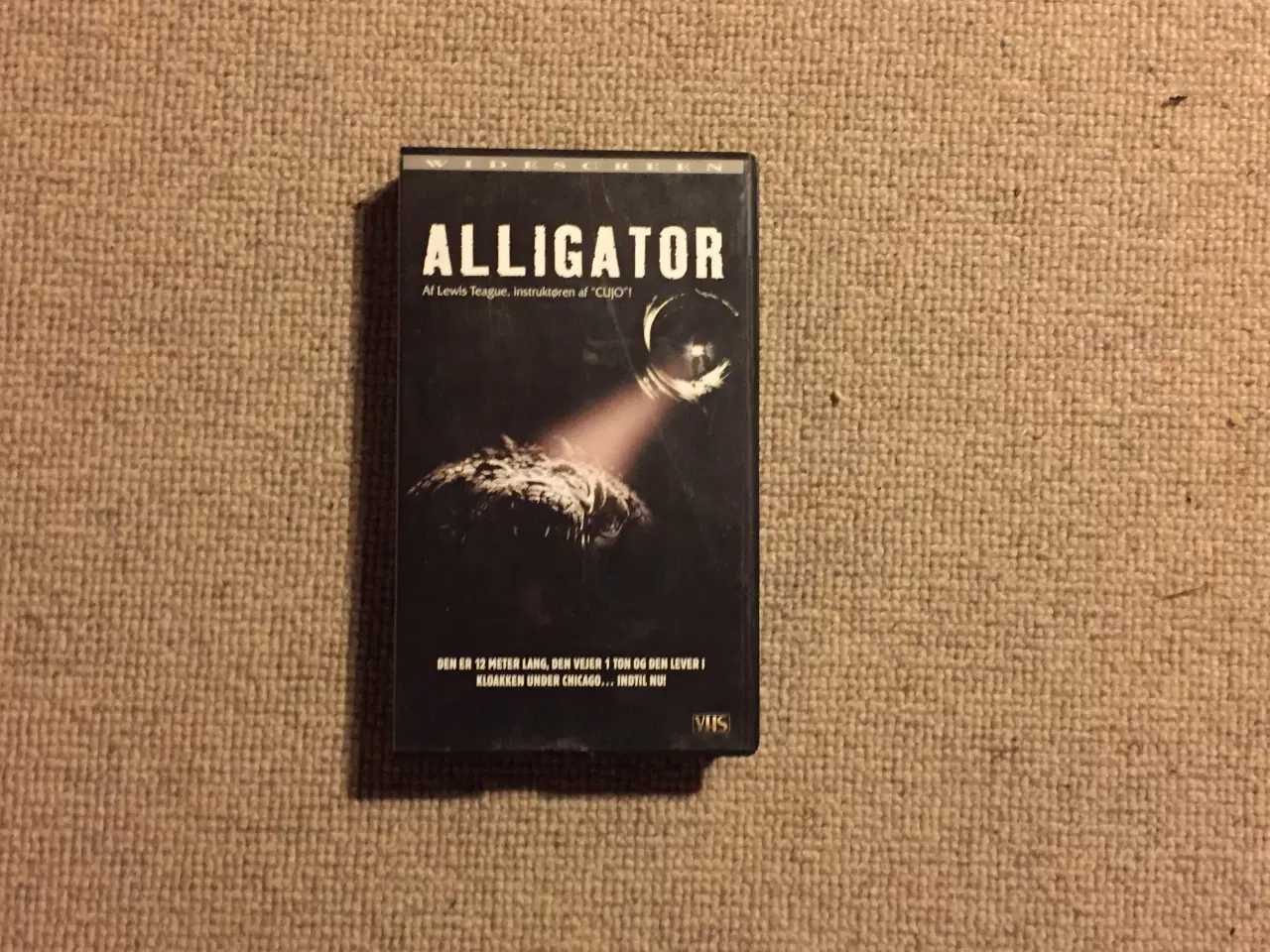Billede 1 - alligator 