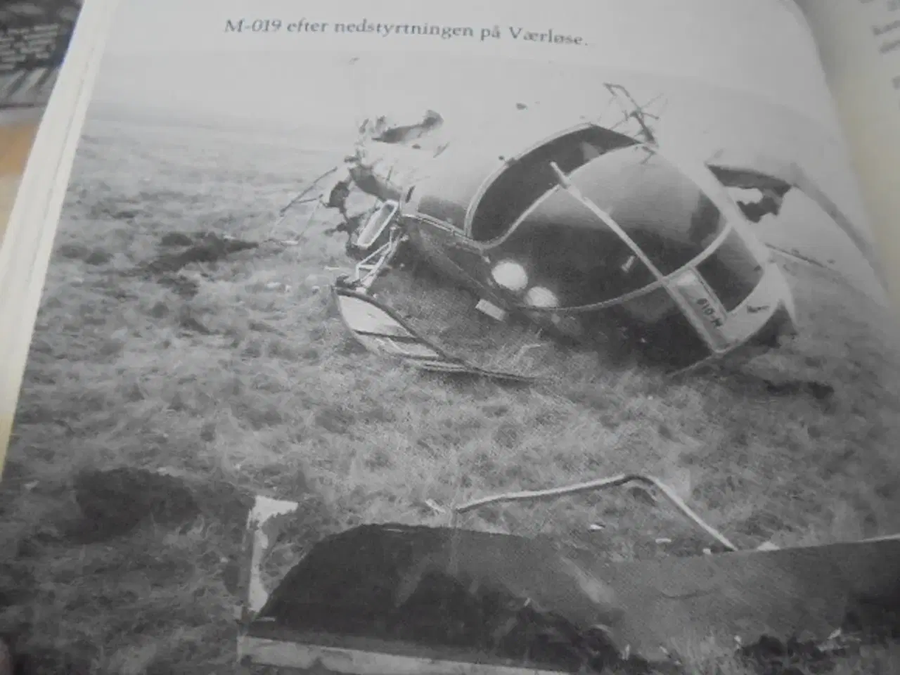 Billede 4 - Søflyverne (dem i Grønland)