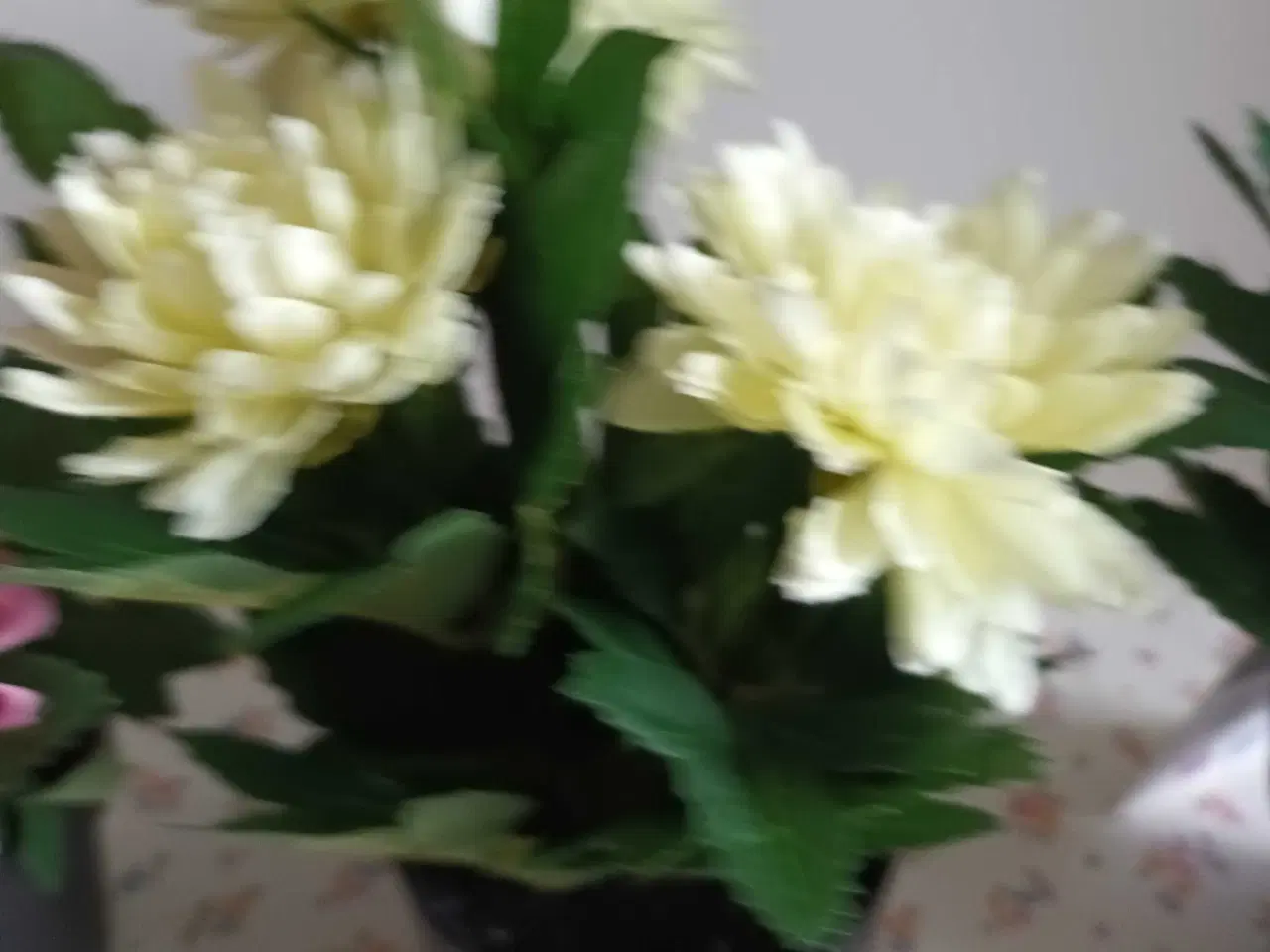 Billede 4 - Kunstige planter - 20 cm