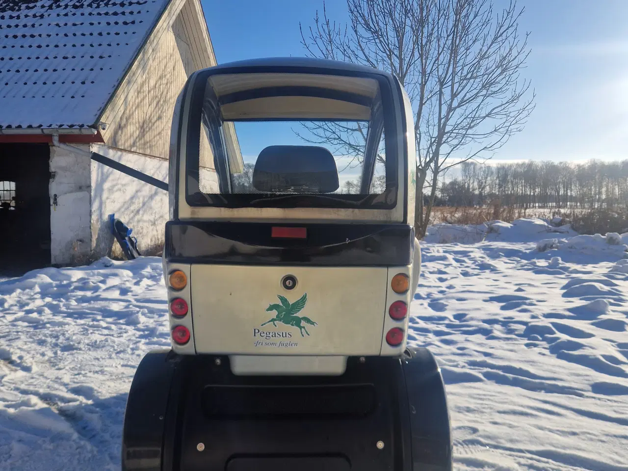 Billede 4 - Pegasus Isfuglen "Sommer model"