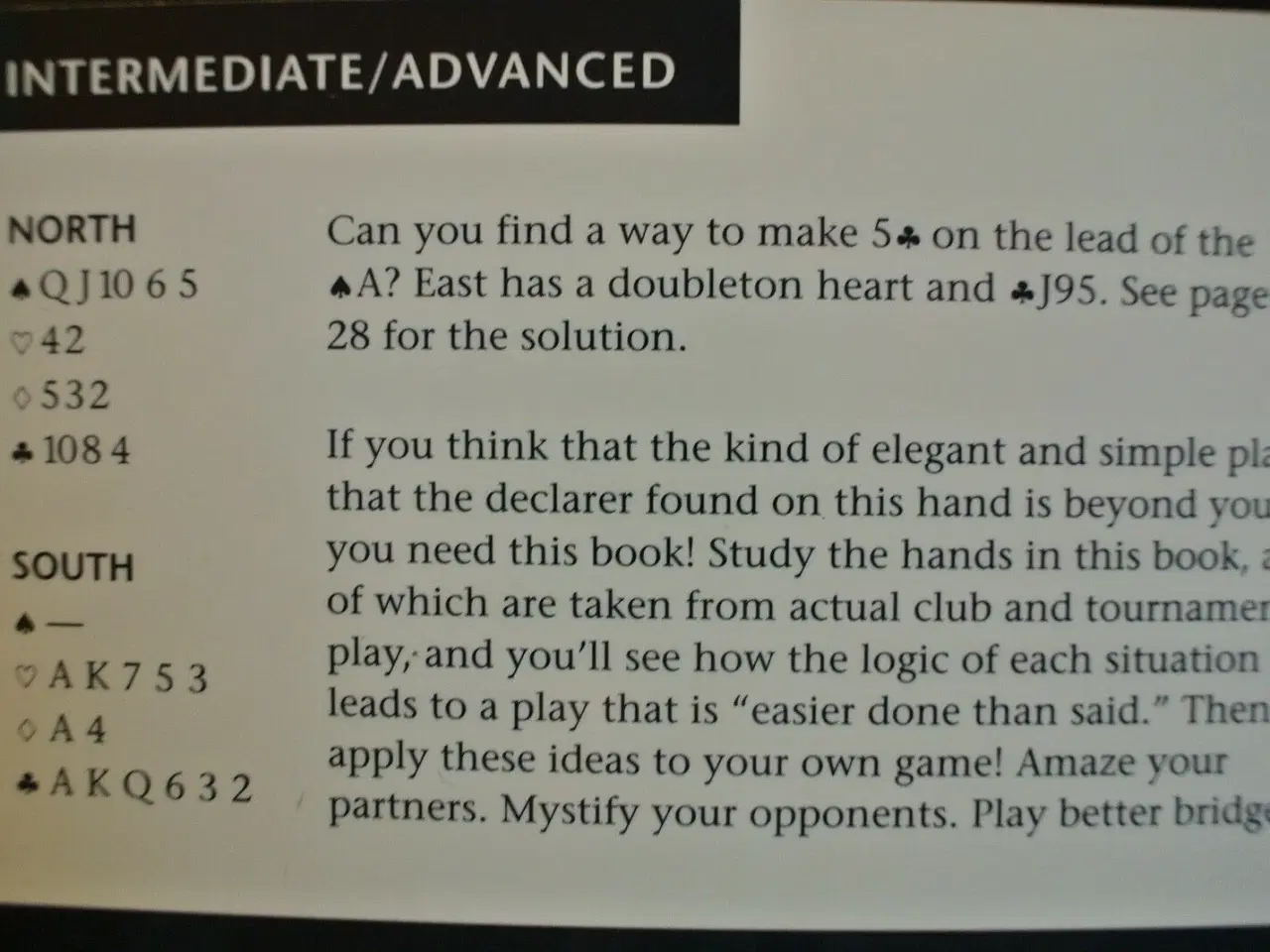 Billede 4 - easier done than said - brilliancy at the bridge ,