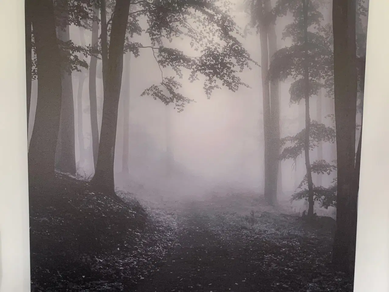 Billede 2 - Billed - 180 x 180 cm - Forest