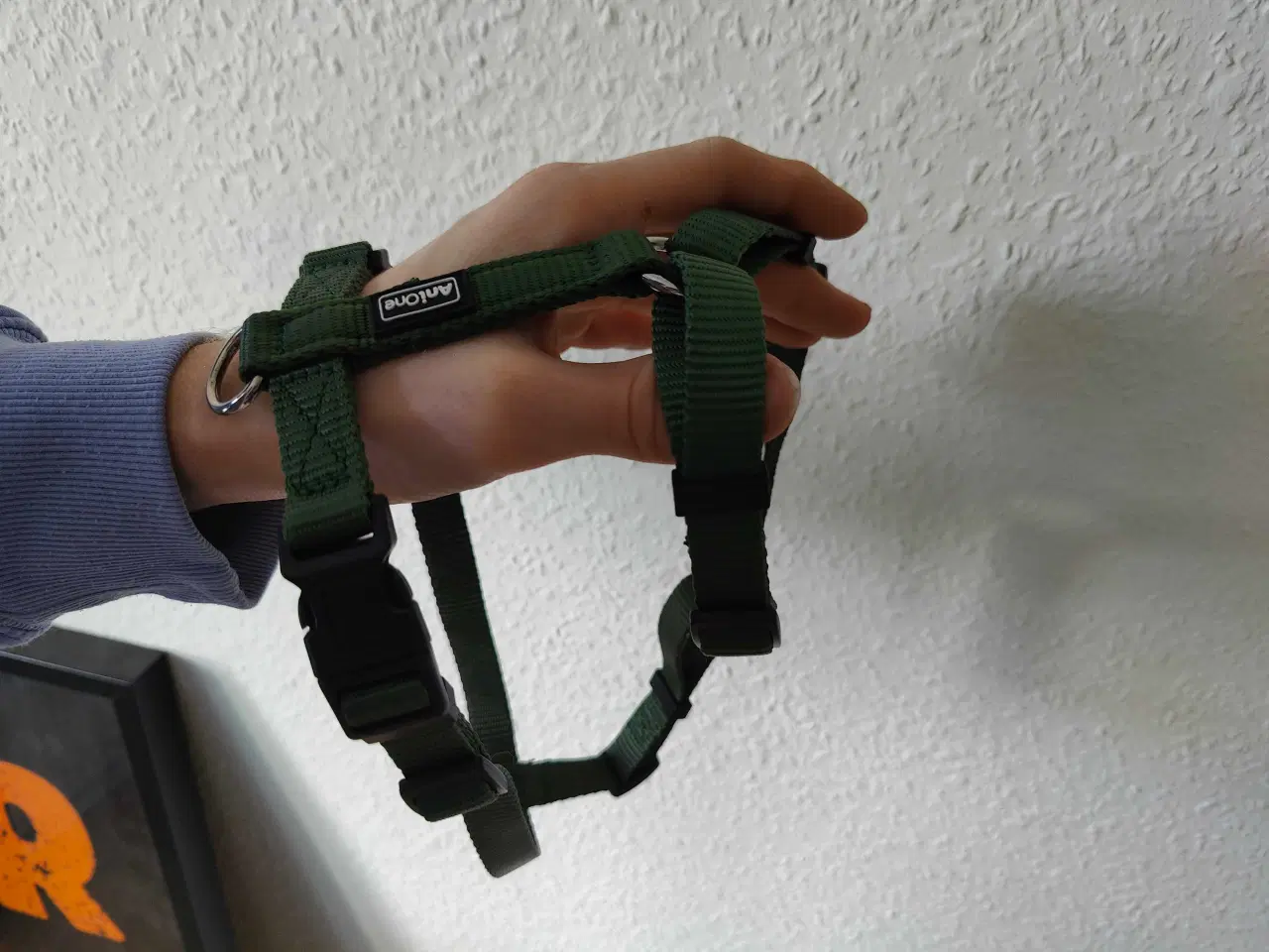 Billede 2 - Grøn sæt