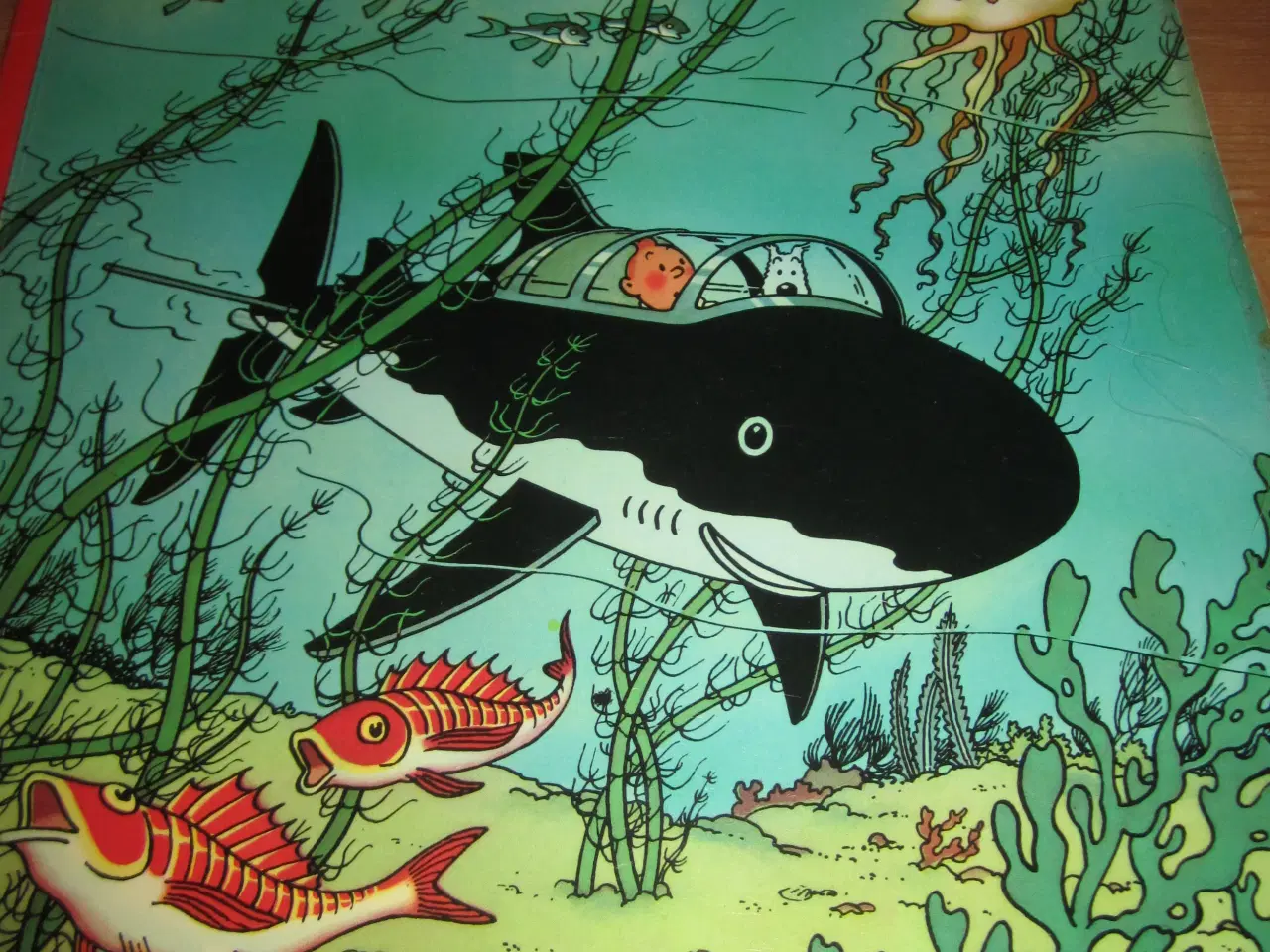 Billede 1 - TINTIN. BYD. BACKHAM DEN RØDES SKAT.