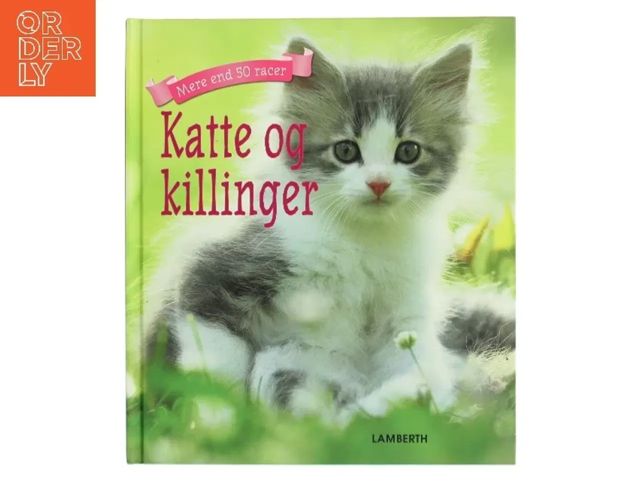 Billede 1 - Katte og killinger af Christian Lamberth (Bog)
