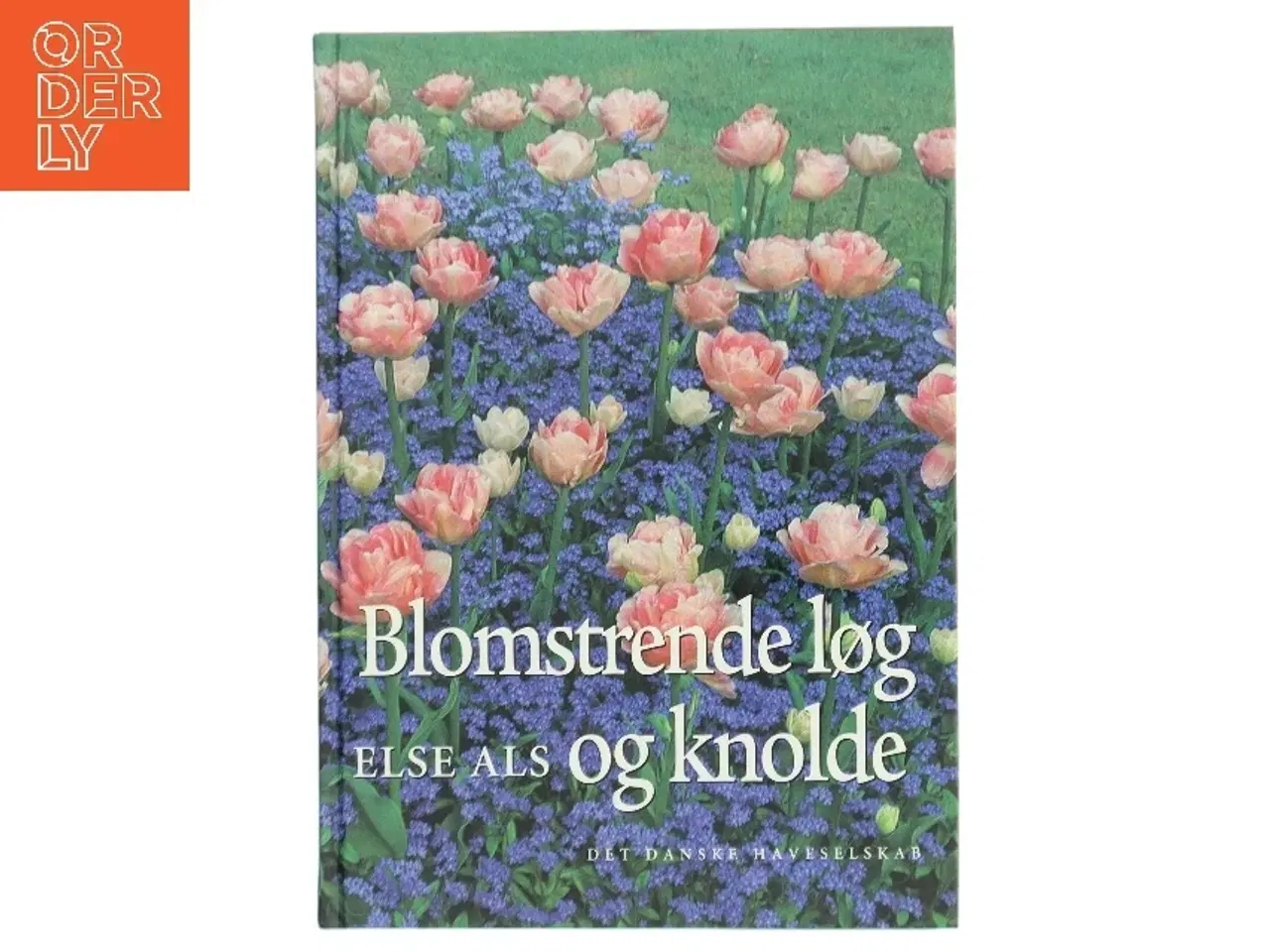 Billede 1 - Blomstrende løg og knolde af Else Als (Bog)