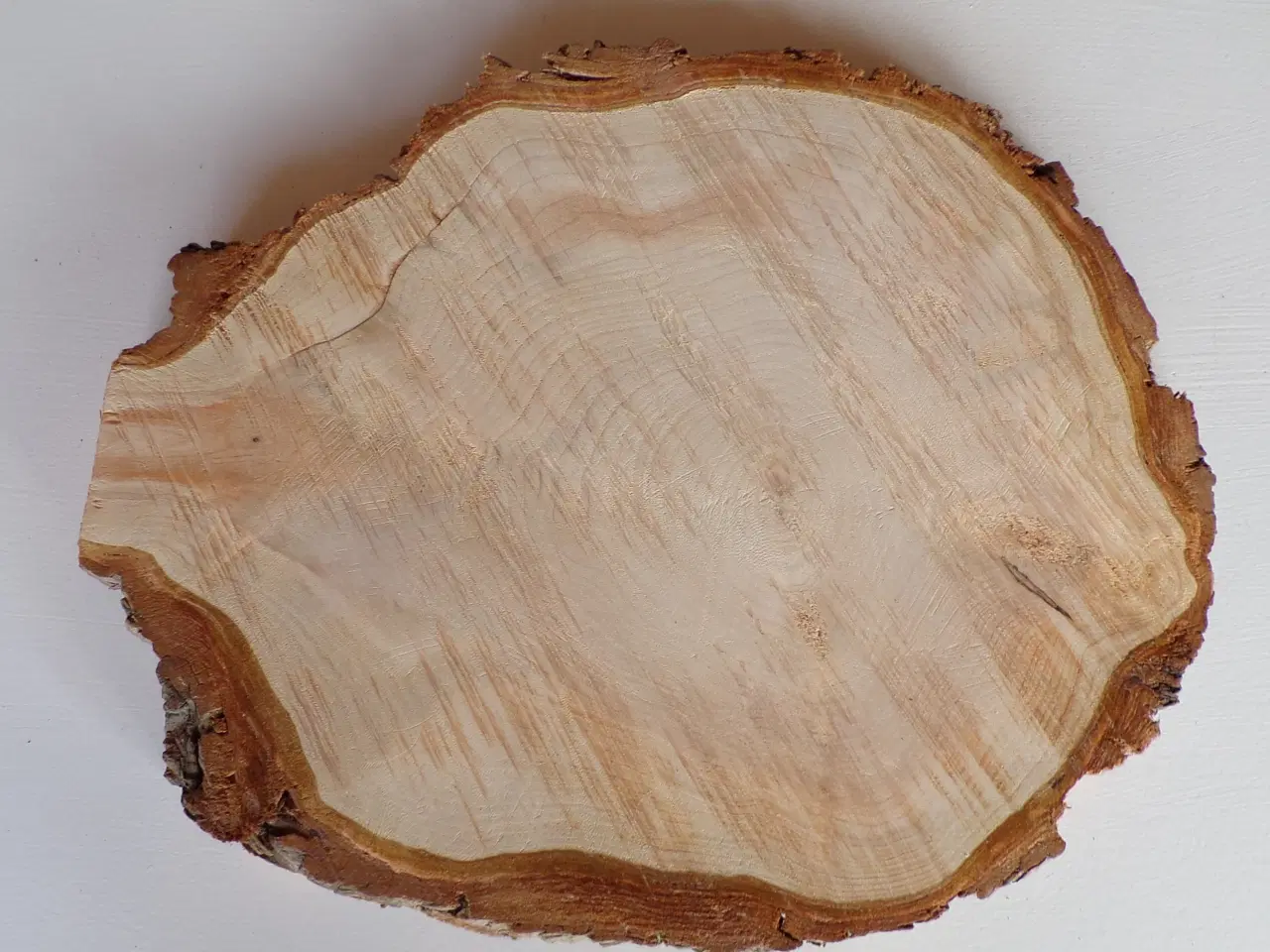 Billede 1 - NY Thuja Træskive med bark 33,5 cm lang