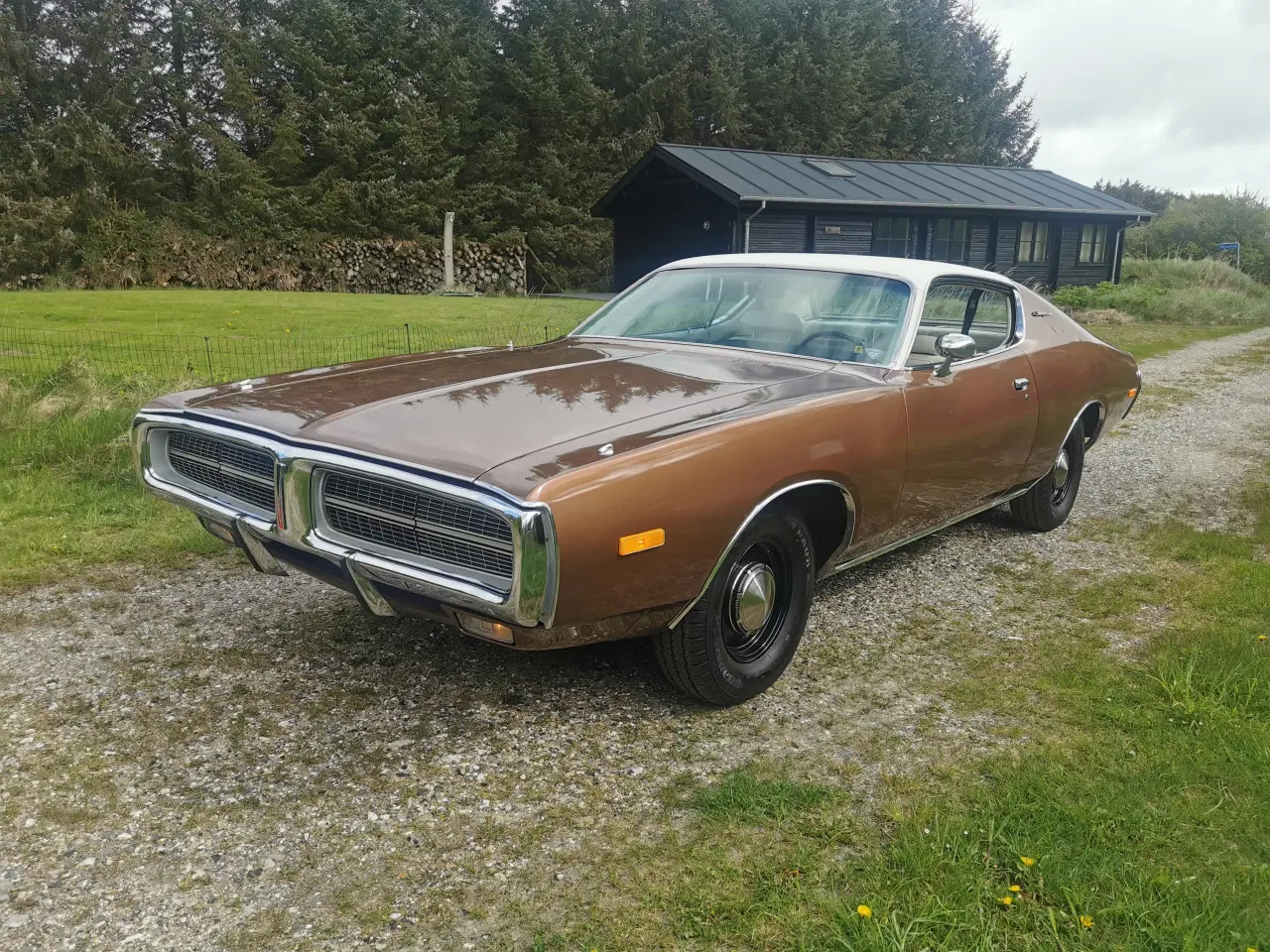Billede 2 - 1972 Dodge Charger