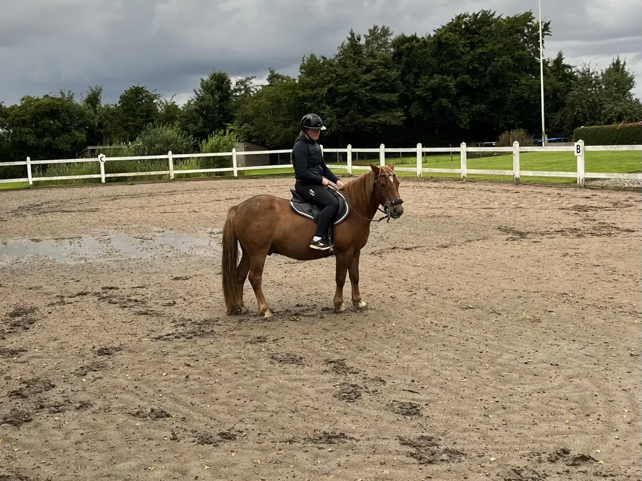 Billede 7 - Hurtigt salg ønskes 