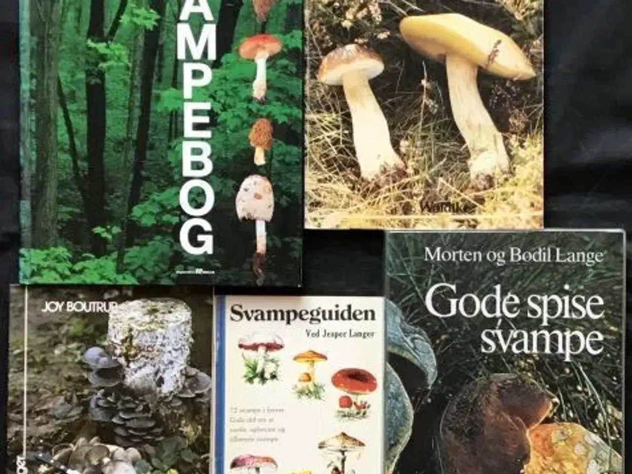 Billede 1 - Pæne svampe-bøger sælges