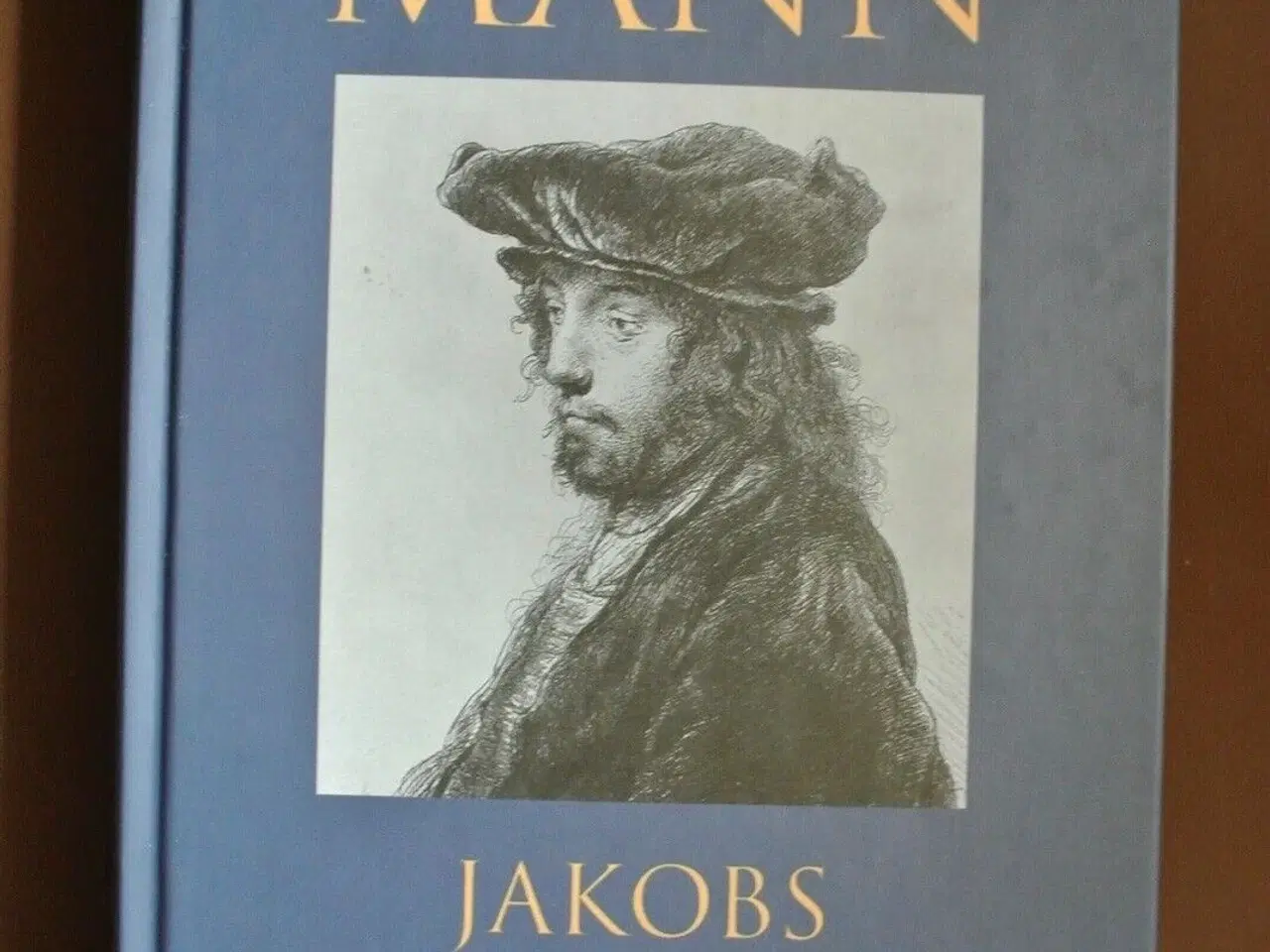 Billede 1 - jakobs historier - josef og hans brødre 1, af thom
