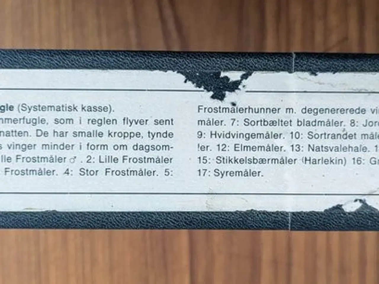 Billede 2 - Udstoppede dyr, Sommerfugle / Natsværmere